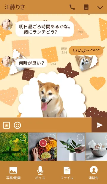 [LINE着せ替え] 柴犬の日常14【ビスケット】の画像4
