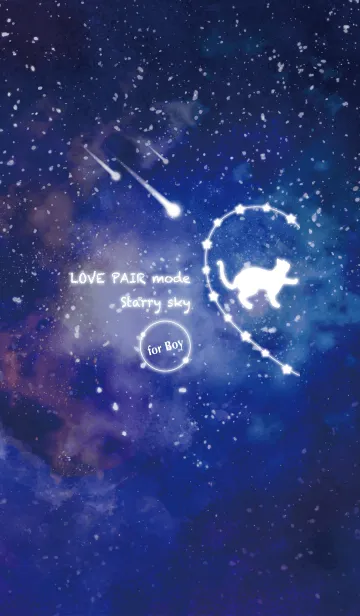 LOVE PAIR mode -Starry sky-【Boy】*の着せ替えメイン画像