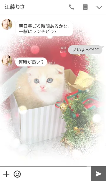 [LINE着せ替え] クリスマス・スコテッシュフォールドの画像3