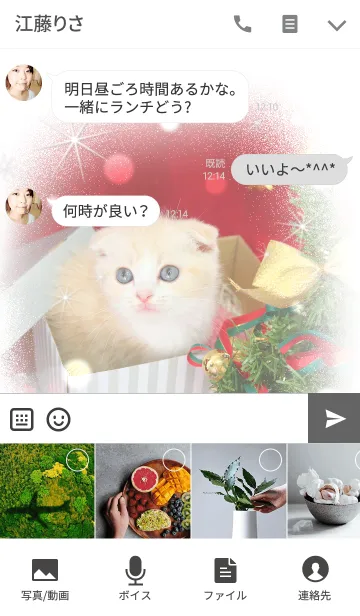 [LINE着せ替え] クリスマス・スコテッシュフォールドの画像4