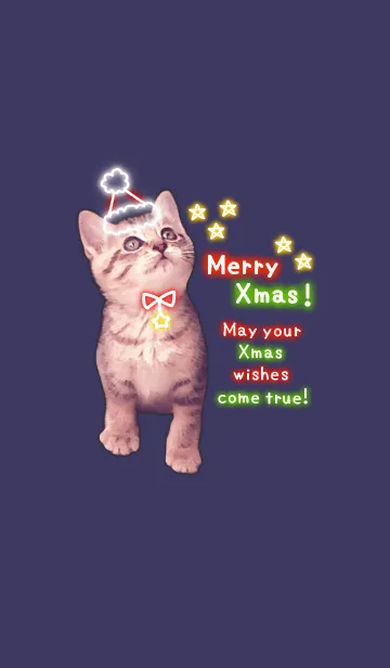 Pretty Cristmas Cats ☆Neon☆2の着せ替えメイン画像