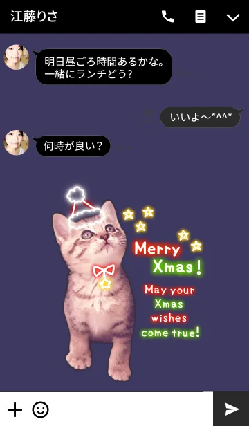 [LINE着せ替え] Pretty Cristmas Cats ☆Neon☆2の画像3