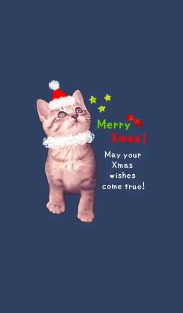 Pretty Cristmas Cats ☆の着せ替えメイン画像