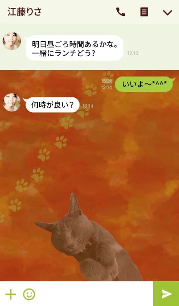 [LINE着せ替え] うちのロシアンブルーの画像3