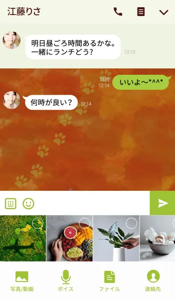 [LINE着せ替え] うちのロシアンブルーの画像4