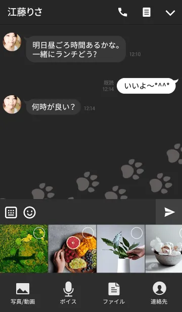 [LINE着せ替え] Wild footprints(for japan)の画像4