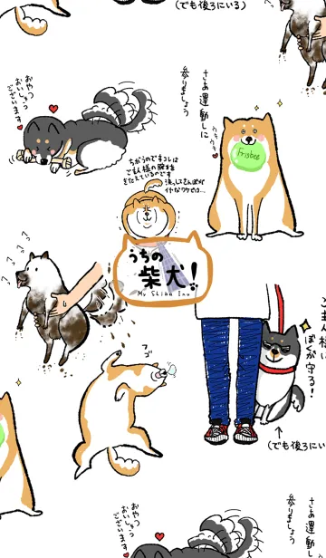 [LINE着せ替え] うちの柴犬！の画像1