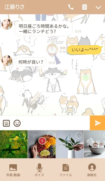 [LINE着せ替え] うちの柴犬！の画像4