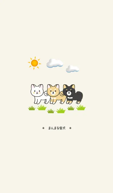 まんまる柴犬と和菓子の着せかえの着せ替えメイン画像