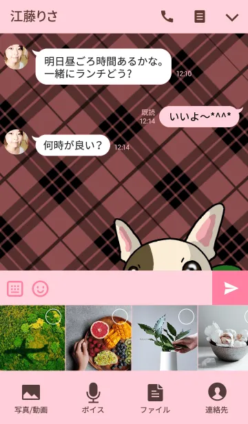 [LINE着せ替え] フレブルとチェック柄の画像4