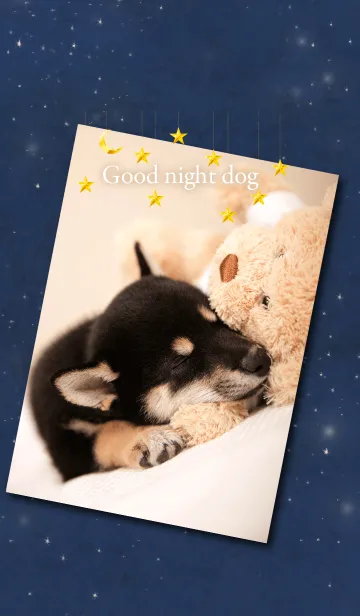 [LINE着せ替え] おやすみドッグ 柴犬の画像1