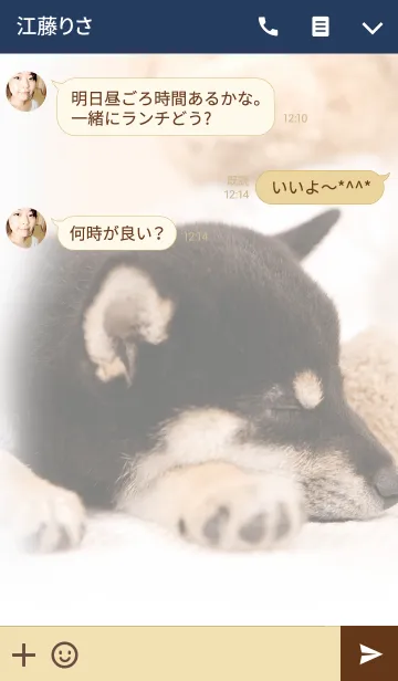 [LINE着せ替え] おやすみドッグ 柴犬の画像3
