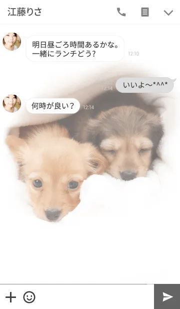 [LINE着せ替え] 仲良しミニチュアダックスの画像3