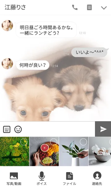 [LINE着せ替え] 仲良しミニチュアダックスの画像4