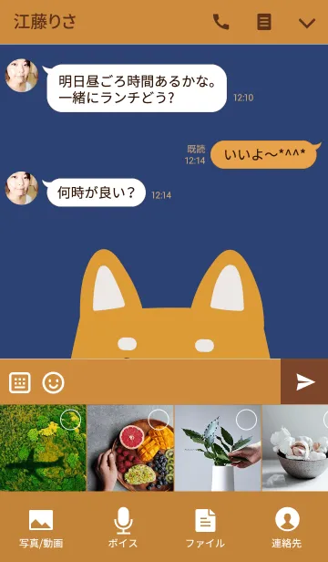 [LINE着せ替え] Animal Portrait - Shiba Inuの画像4
