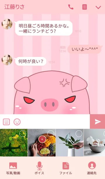[LINE着せ替え] Angry Fat Pig Theme(jp)の画像4