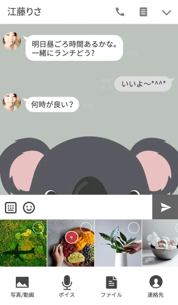 [LINE着せ替え] Simple cute Koala theme Vr.2(jp)の画像4
