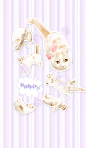 [LINE着せ替え] 甘え猫「ホイップ」の画像1