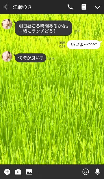 [LINE着せ替え] 草の画像3
