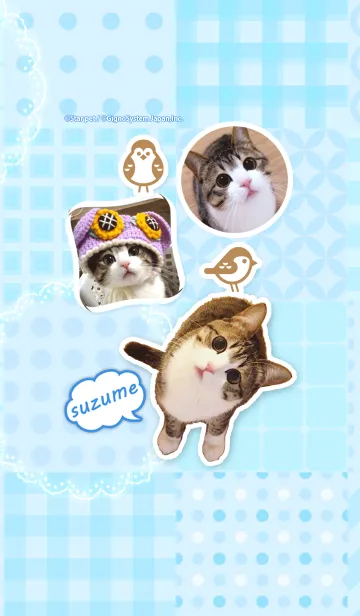 [LINE着せ替え] 猫の『すずめちゃん』にゃり！の画像1