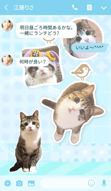 [LINE着せ替え] 猫の『すずめちゃん』にゃり！の画像3