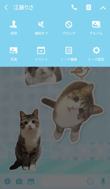 [LINE着せ替え] 猫の『すずめちゃん』にゃり！の画像4