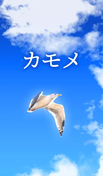 カモメの着せ替えメイン画像
