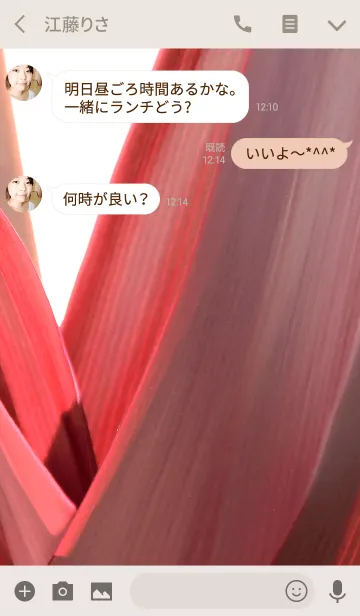 [LINE着せ替え] パラダイス ガーデン-27の画像3