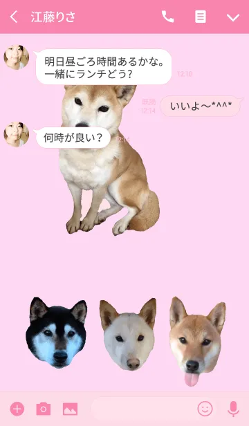 [LINE着せ替え] 柴犬日和の画像3