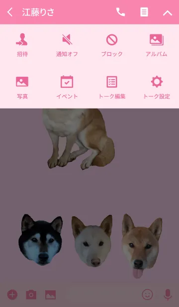 [LINE着せ替え] 柴犬日和の画像4