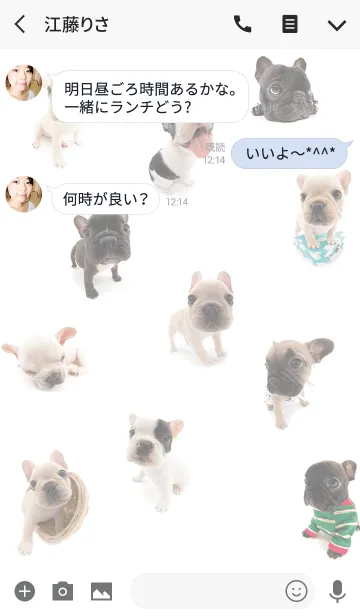 [LINE着せ替え] THE DOG フレンチ・ブルドッグ 2の画像3