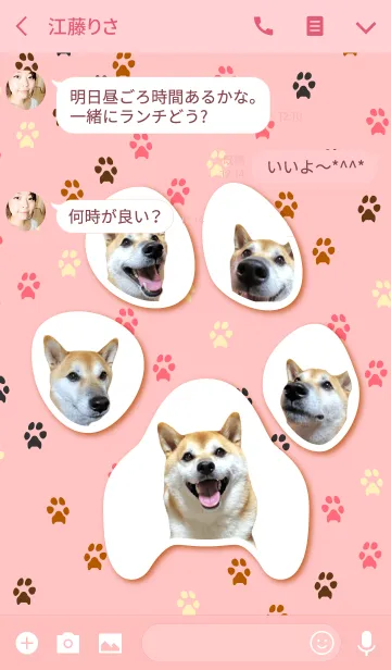 [LINE着せ替え] 柴犬の日常16【肉球】の画像3
