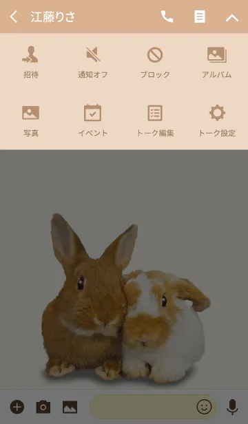 [LINE着せ替え] ウサギ、ネザーランドドワーフ着せ替えの画像4