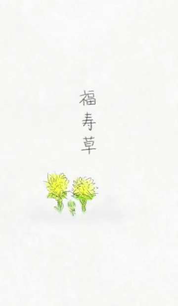 [LINE着せ替え] 福寿草 ～Adonis ramosa～の画像1