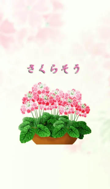 [LINE着せ替え] さくら草の画像1