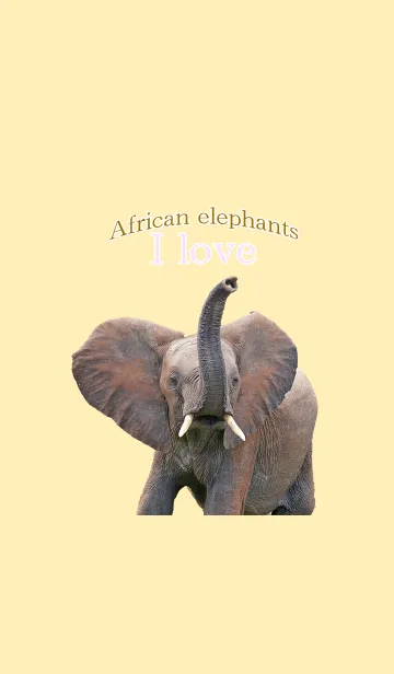 [LINE着せ替え] アフリカゾウ大好き「南アフリカ」の画像1