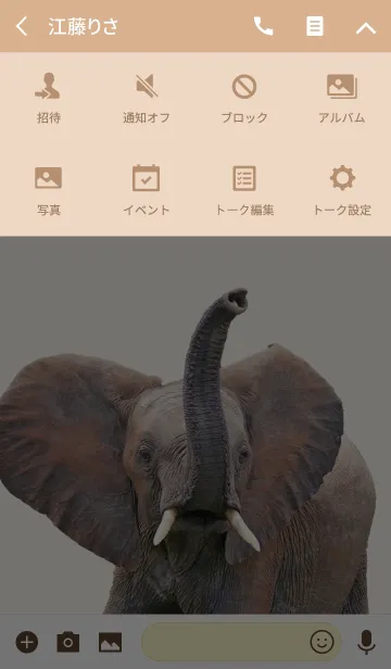 [LINE着せ替え] アフリカゾウ大好き「南アフリカ」の画像4