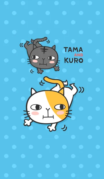 [LINE着せ替え] タマとクロの画像1