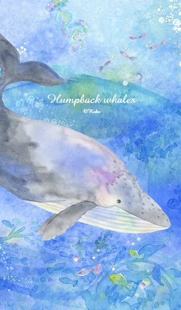 ザトウクジラの着せ替えメイン画像
