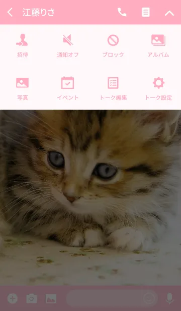 [LINE着せ替え] 愛くるしい子猫のマンチカンの画像4