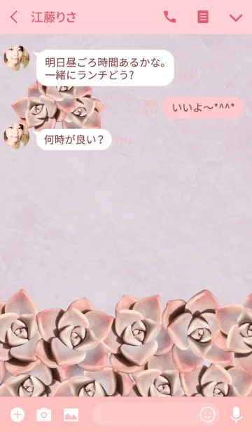 [LINE着せ替え] Leaves of a succulent plant like a roseの画像3