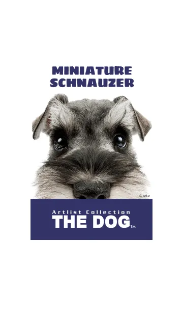 [LINE着せ替え] THE DOG ミニチュア•シュナウザー 2の画像1