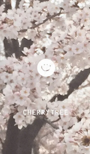 [LINE着せ替え] 桜とにこちゃんの画像1