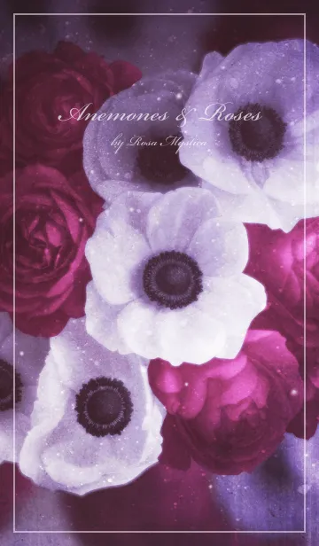[LINE着せ替え] Anemones ＆ Roses - アネモネ ＆ ローズの画像1