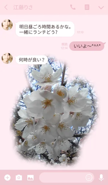 [LINE着せ替え] 春の桜の画像3