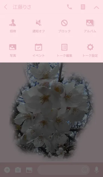 [LINE着せ替え] 春の桜の画像4