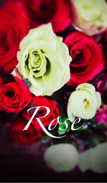 [LINE着せ替え] -ROSE PHOTO-の画像1