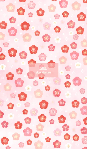 ふんわり梅の花の着せ替えメイン画像