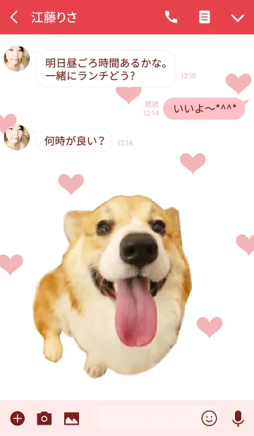[LINE着せ替え] リアルDOG コーギーの画像3