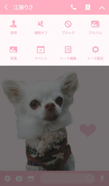 [LINE着せ替え] Real DOG 白チワワ『微笑み王子 マロ 』の画像4